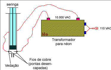 foquete 02